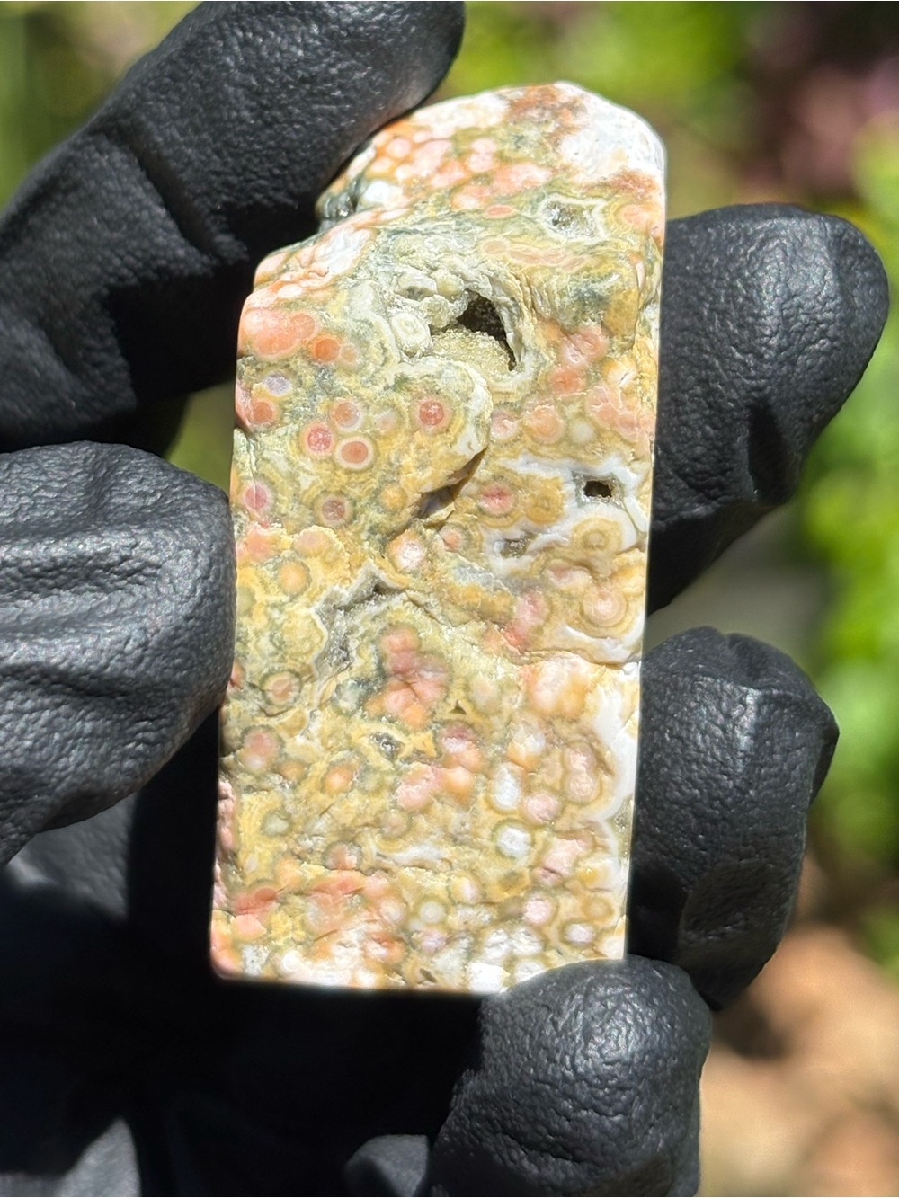 Ocean Jasper Crystal Freeform - Polished Sea Jasper - Orbicular Jasper